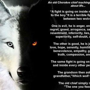 Meet your Posher, Willie